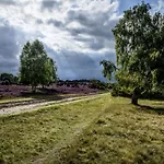Σπίτι διακοπών Heide View