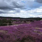 Heide View