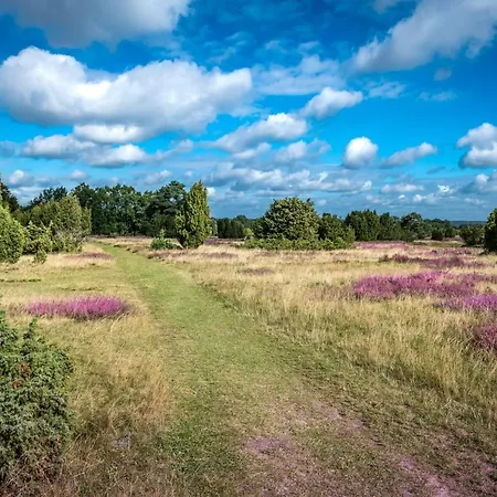 Heide View * Bispingen