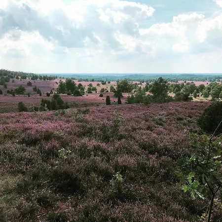 Holiday home Heide View Bispingen