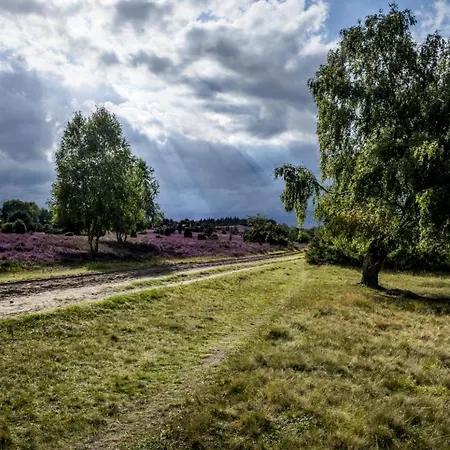 Holiday home Heide View