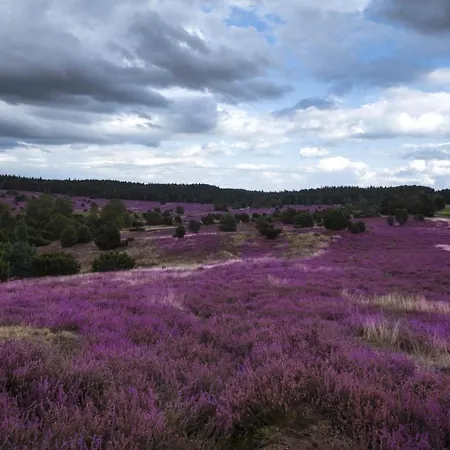 Heide View
