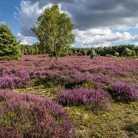 Heide View * Bispingen