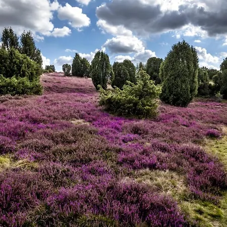 Heide View * Bispingen