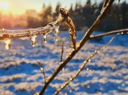 Heide View Bispingen