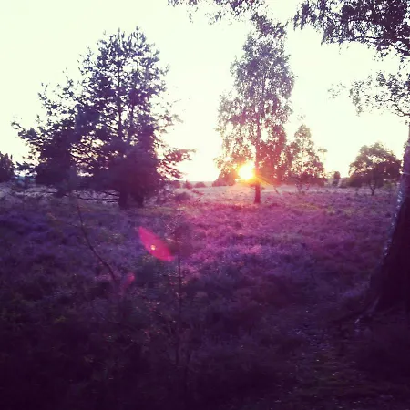 Heide View