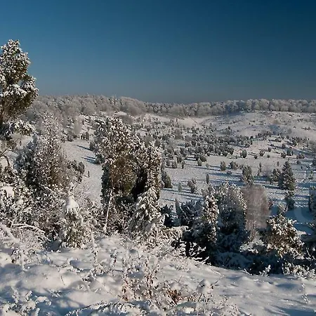Heide View