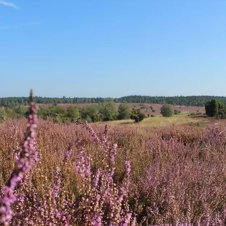 Heide View