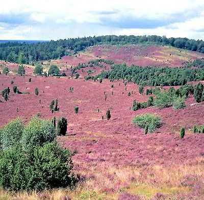 Holiday home Heide View *