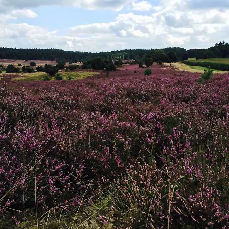 Heide View Hébergement de vacances