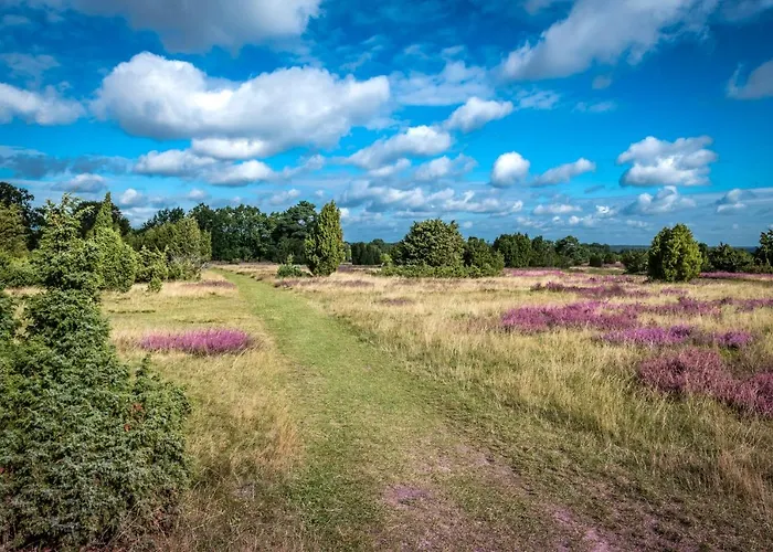 Heide View * Bispingen