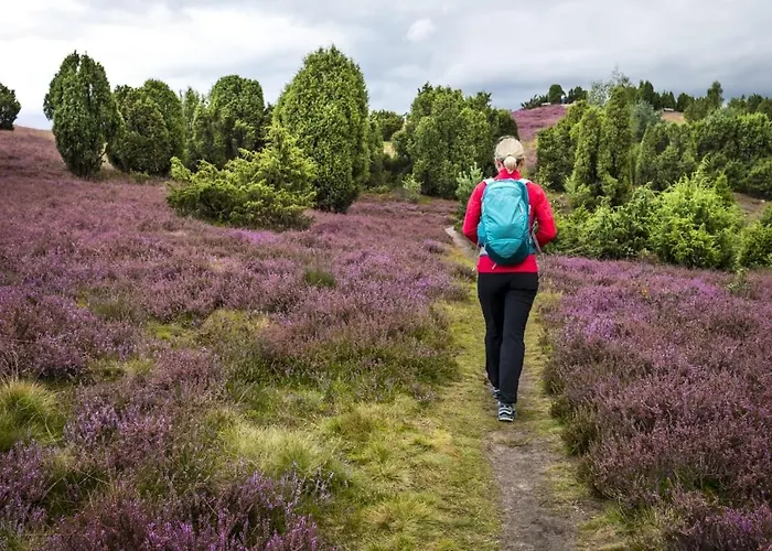 Σπίτι διακοπών Heide View *