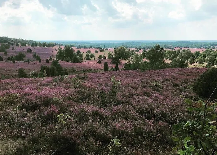 Σπίτι διακοπών Heide View Bispingen