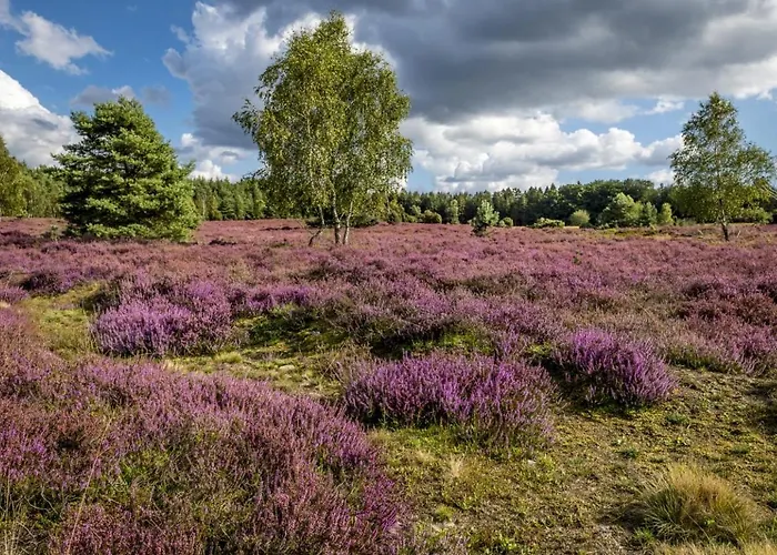 Heide View * Bispingen