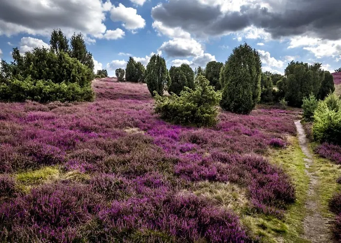 Heide View * Bispingen