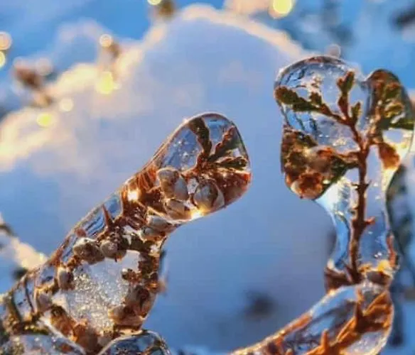 Σπίτι διακοπών Heide View Bispingen