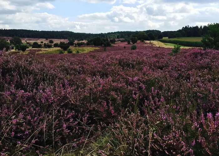 Heide View Σπίτι διακοπών